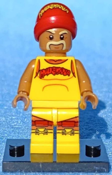 Hulk Hogan (Famosos)