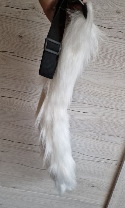 Puszysty ogon kota przebranie imprezy