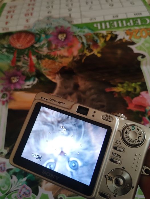 Цифровой фотоаппарат sony