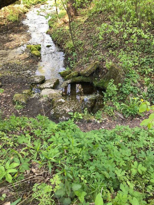 Продам земельну ділянку у Середкевичах під форелеве господарство .