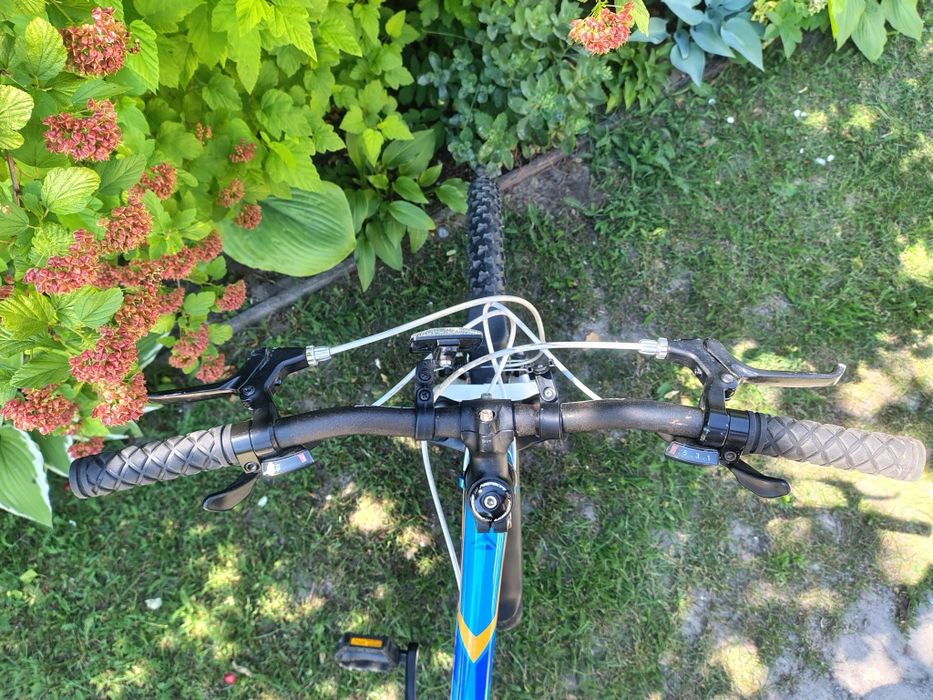 Merida Marta 24"