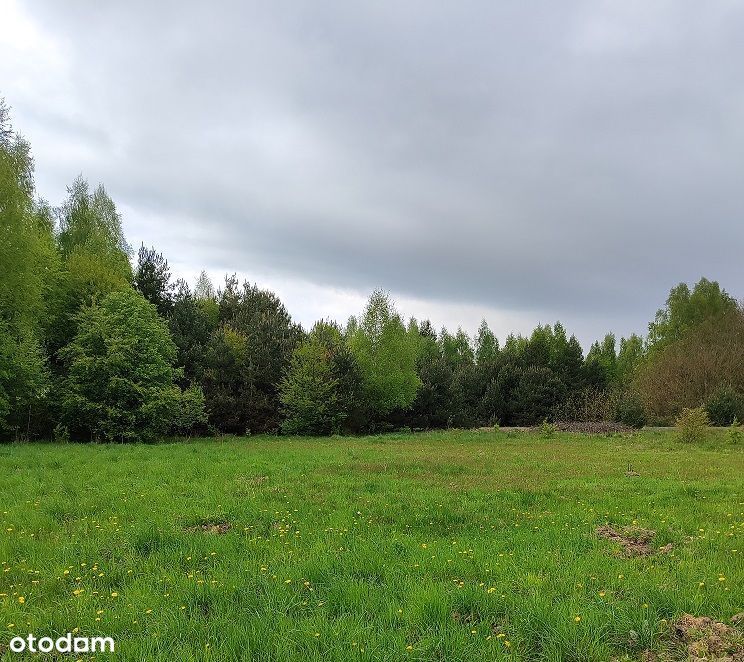 Sprzedam działki budowlane w Gąskach pod Warszawą