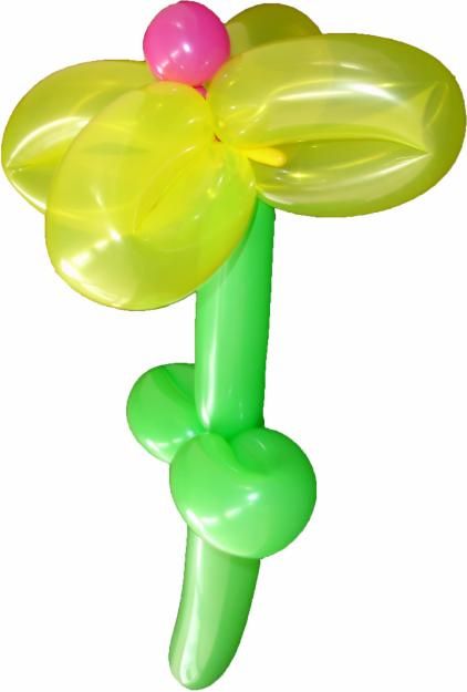 Show magia insuflável