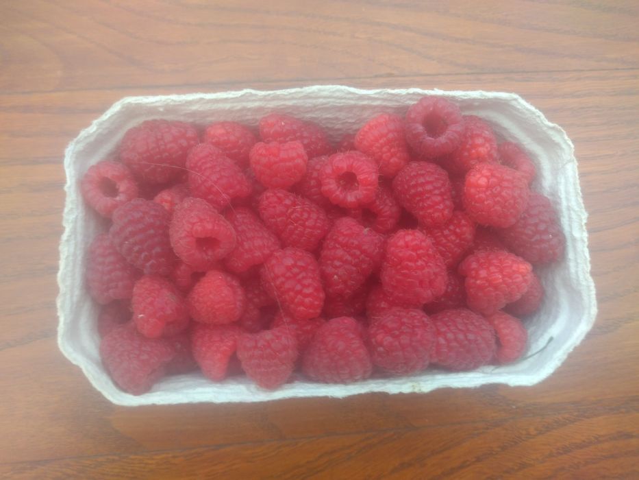 Sprzedam maliny .