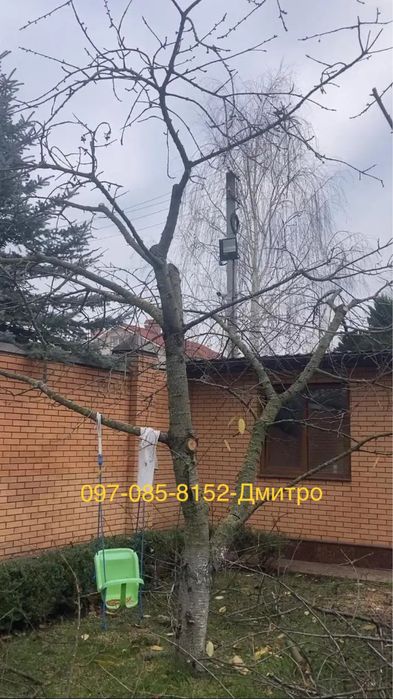 Обрізка та порізка дерев
