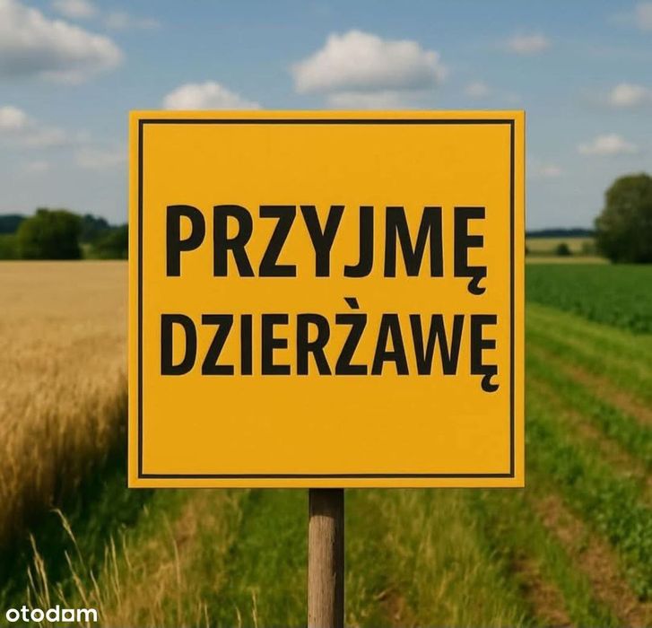 Przyjmę grunty orne i łąki w dzierżawę