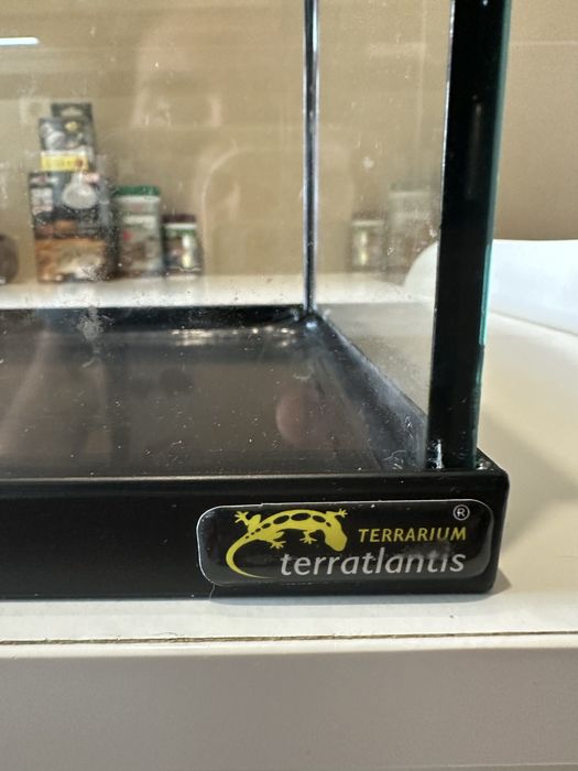 Aquario para tartatugas
