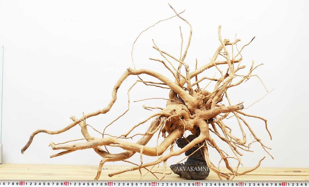 Корчі до акваріуму та тераріуму. Азалія, Ротанг, Коралове, Бонсаі.