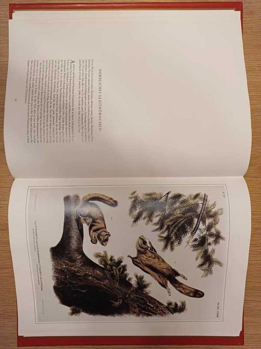 Livro Die Schonsten Natur-Grafiken