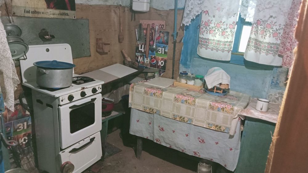 Простора садиба 0,5га (50сот.)біля  Брусилова (с.Ковганівка). Власник.