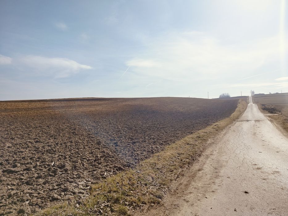 Grunty rolne 3,65 ha