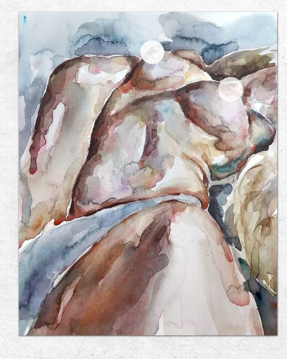 Crossdresser фильмдері, бисексуалды трансвеститтер және чат