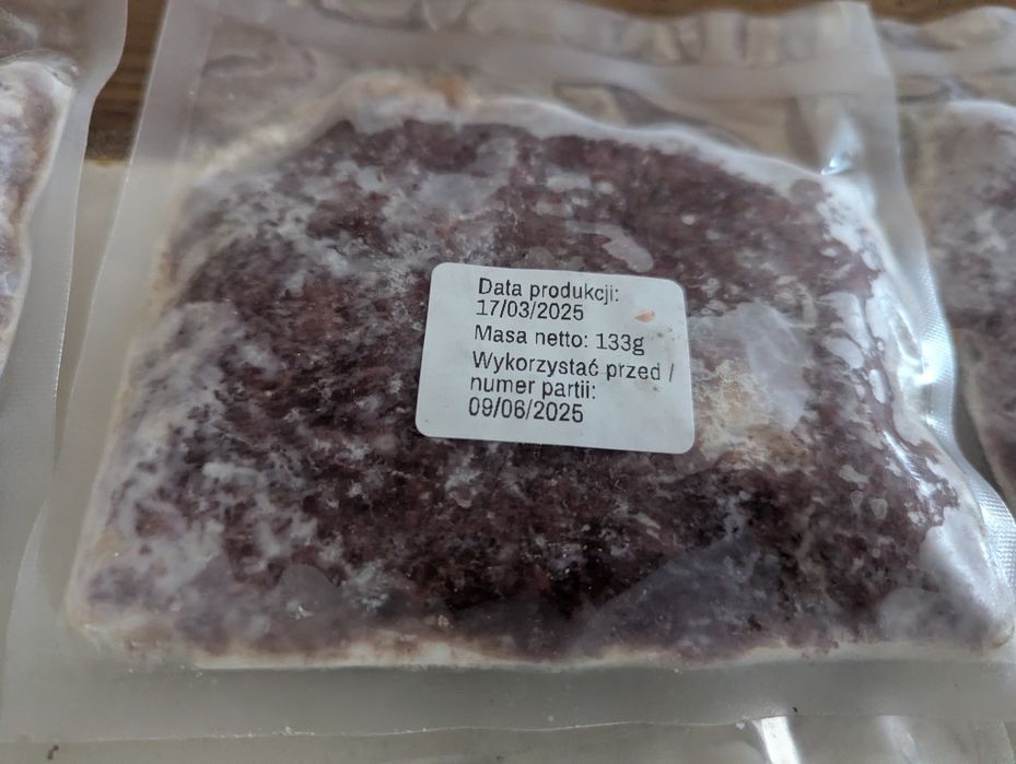 Koci catering 9 saszetek mrożone dla kota