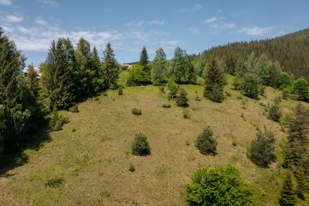 Земельна ділянка с. Микуличин 129 соток