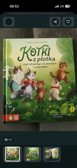 Kotki z płotka książka