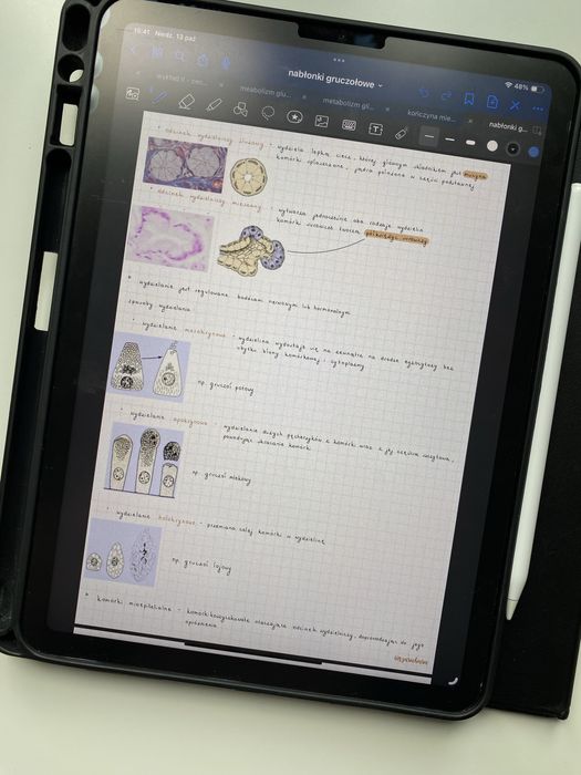 Histologia - notatki z pierwszego roku, dostęp do dysku