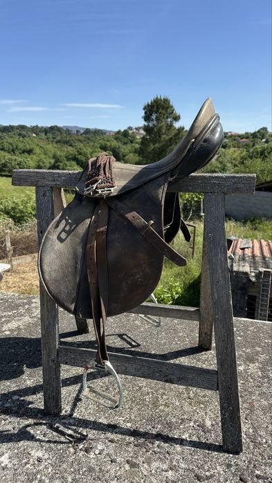 Cela para Cavalo Equitação