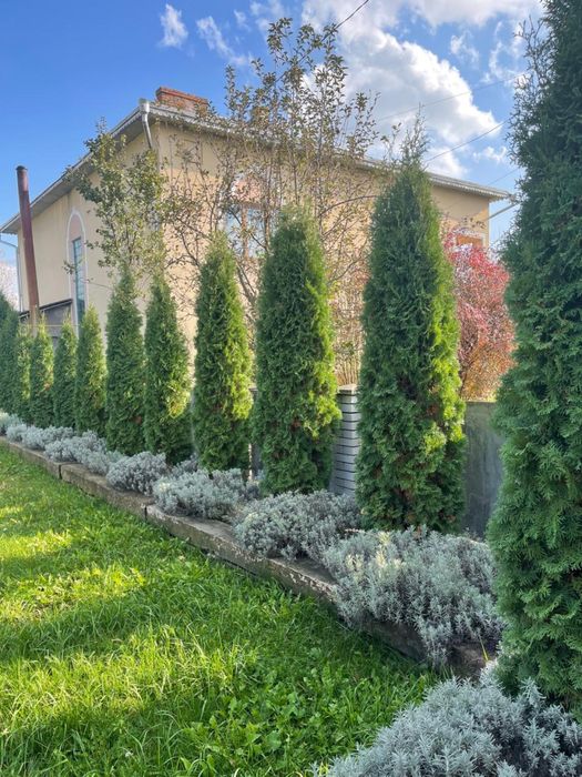 Продам будинок у с. Шипинці, 15 км до Чернівців