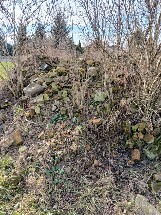 Odamm za darmo kamienie