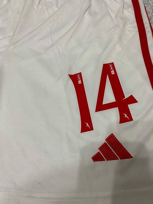 Equipamento Principal - Sport Lisboa e Benfica - Pavlidis - 14