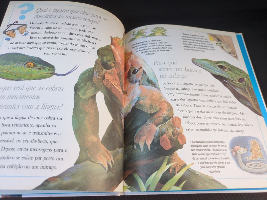 Porque Será Que as Cobras mudam a pele