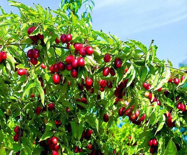 Продам будинок в тихому місці