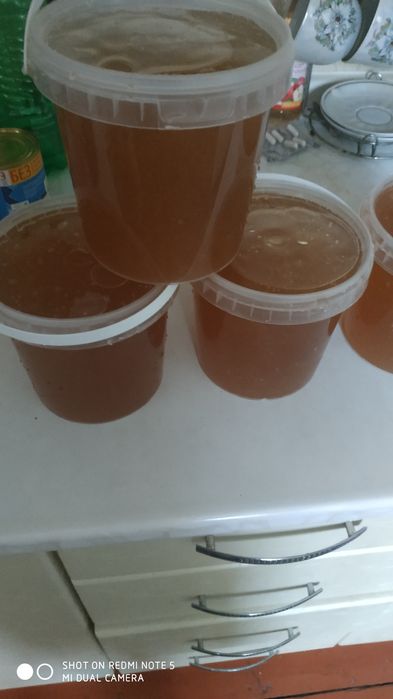 Мед цього річний