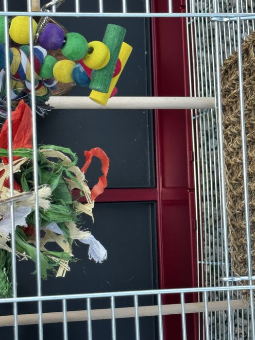Klatka dla papug gonzo chrom - 78 x 47,5 x 79 cm czerwona plus sorgo piasek i karma champi