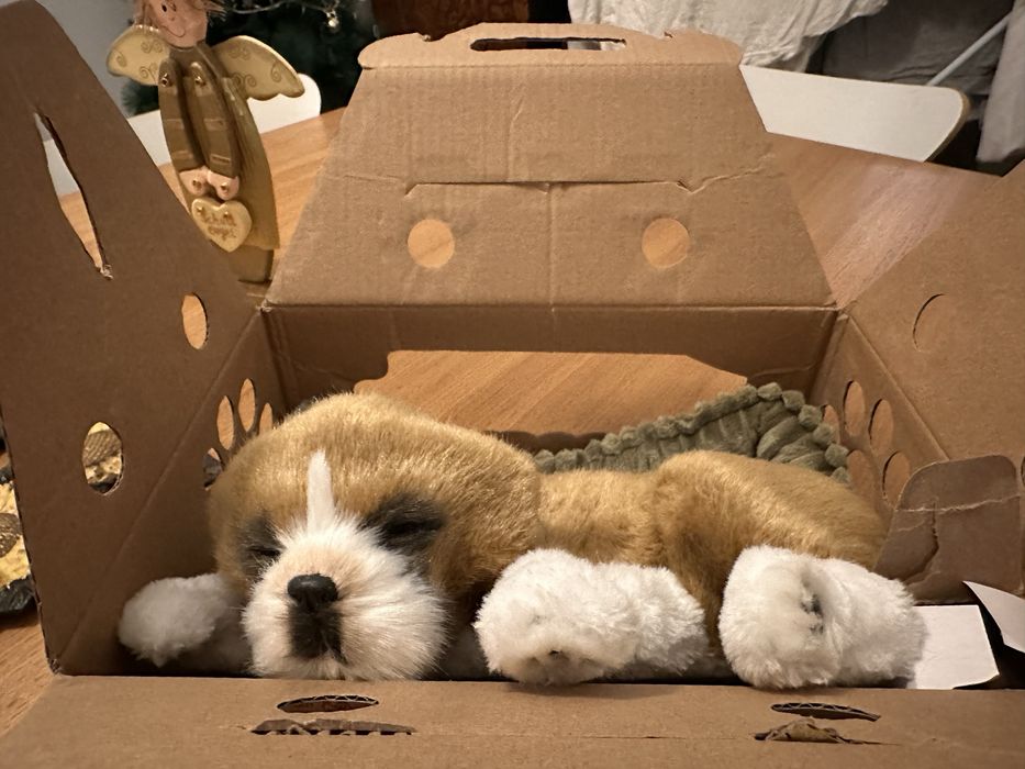 Perfect Petzzz  boxer