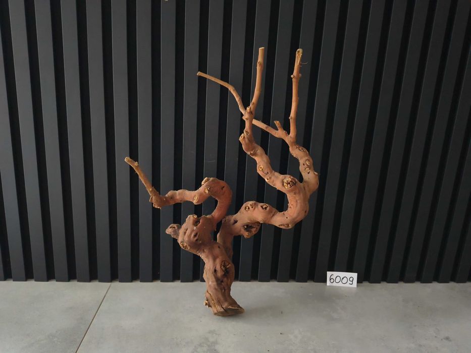 korzeń Wine Wood 6009 LIANA akwarium terrarium 53x36x17
