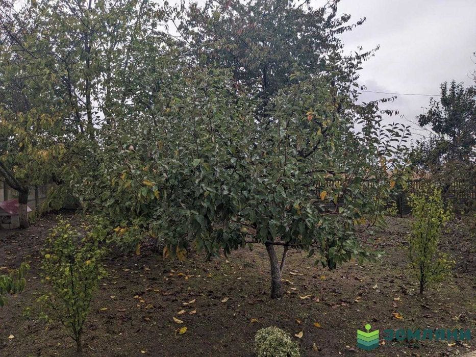 Продається будинок в мальовничому селі Вільшаниця по вул. Осередок (9)