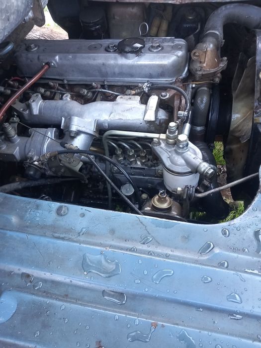 Bedford tld.         54