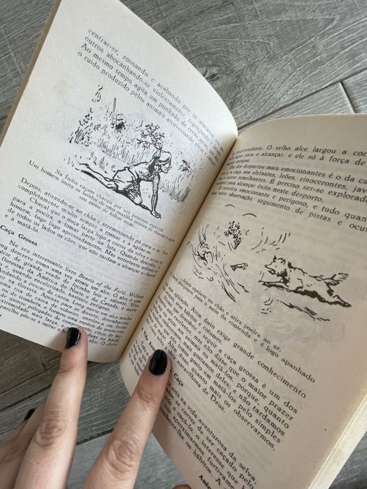 Escutismo para rapazes