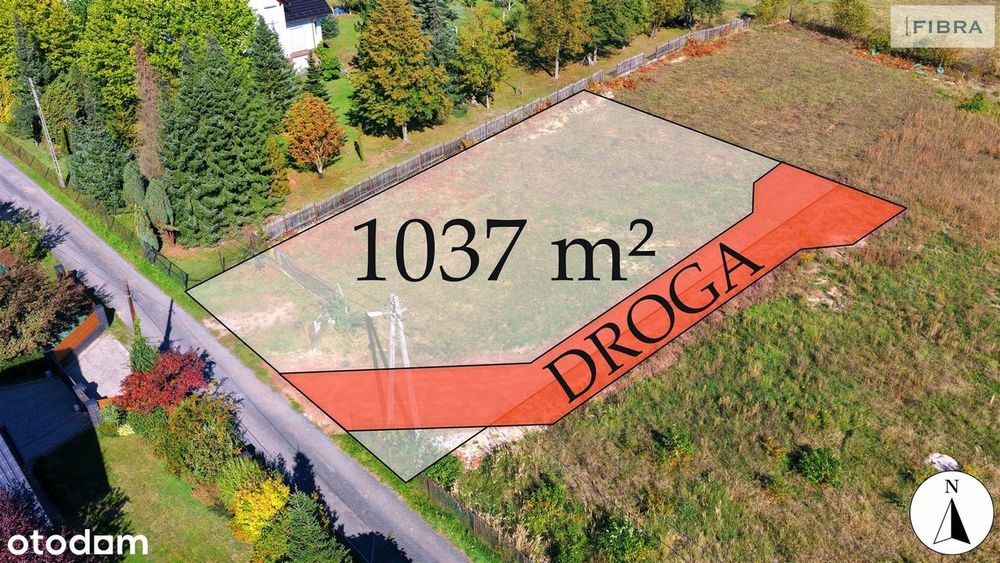Tam, gdzie śpiewają ptaki
