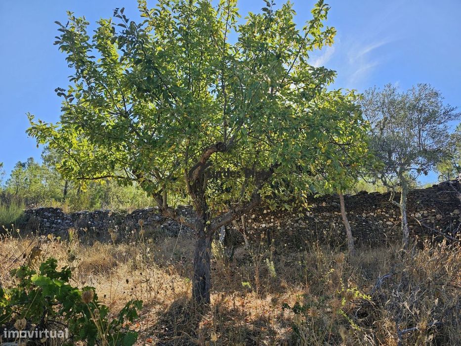 Small Farmhouse with Well in Benquerenças