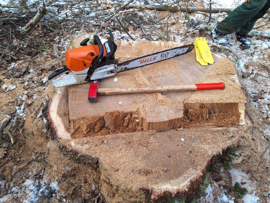 Wycinka drzew drwal -pilarz