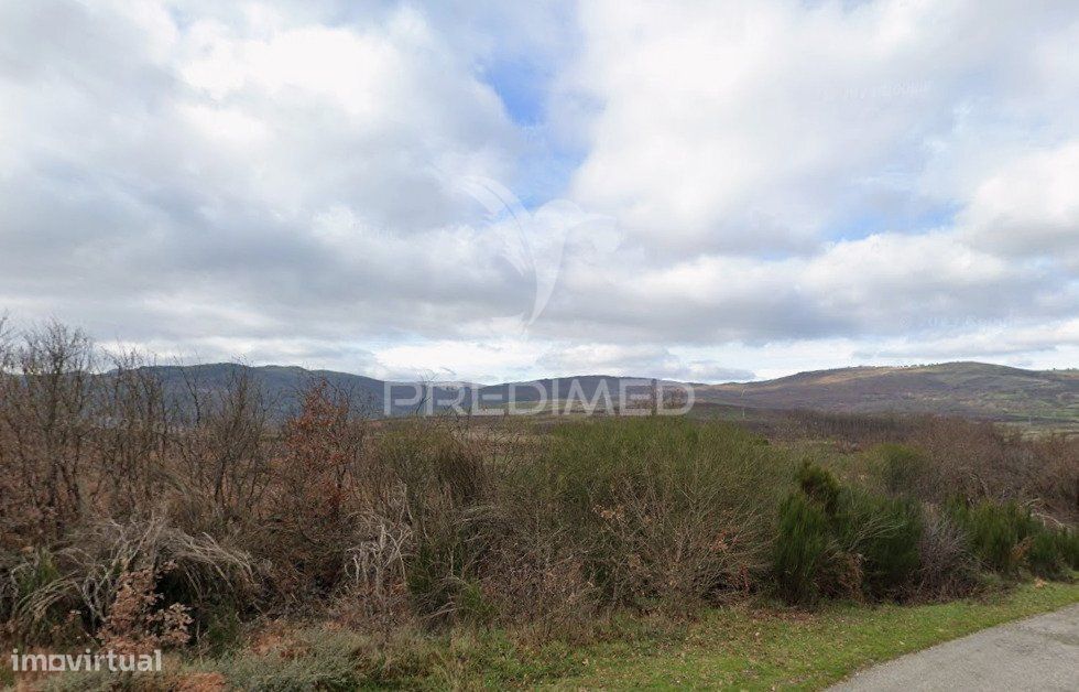 Terreno Rústico Montalegre