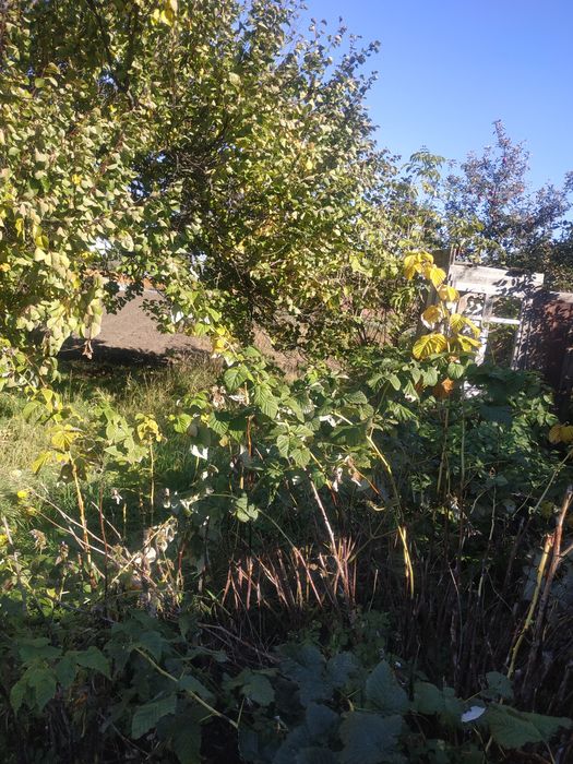 Продається хата в селі