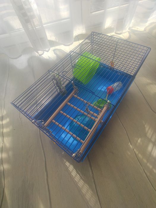 Klatka dla chomika+ kula