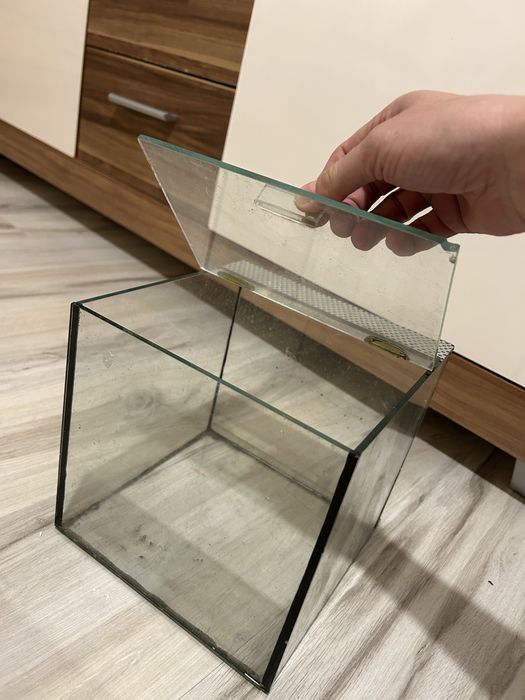 Terrarium dla pająka