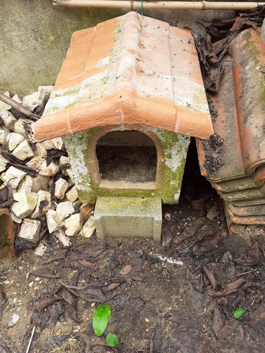 Casinha para cães de porte pequeno