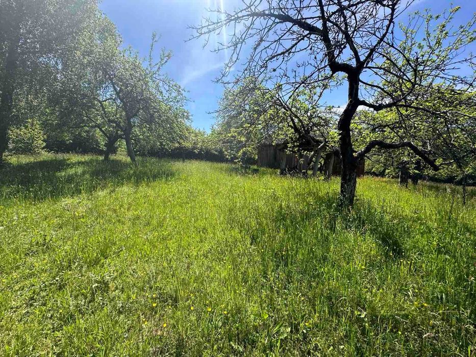 Продається земельна ділянка в с. Ракош