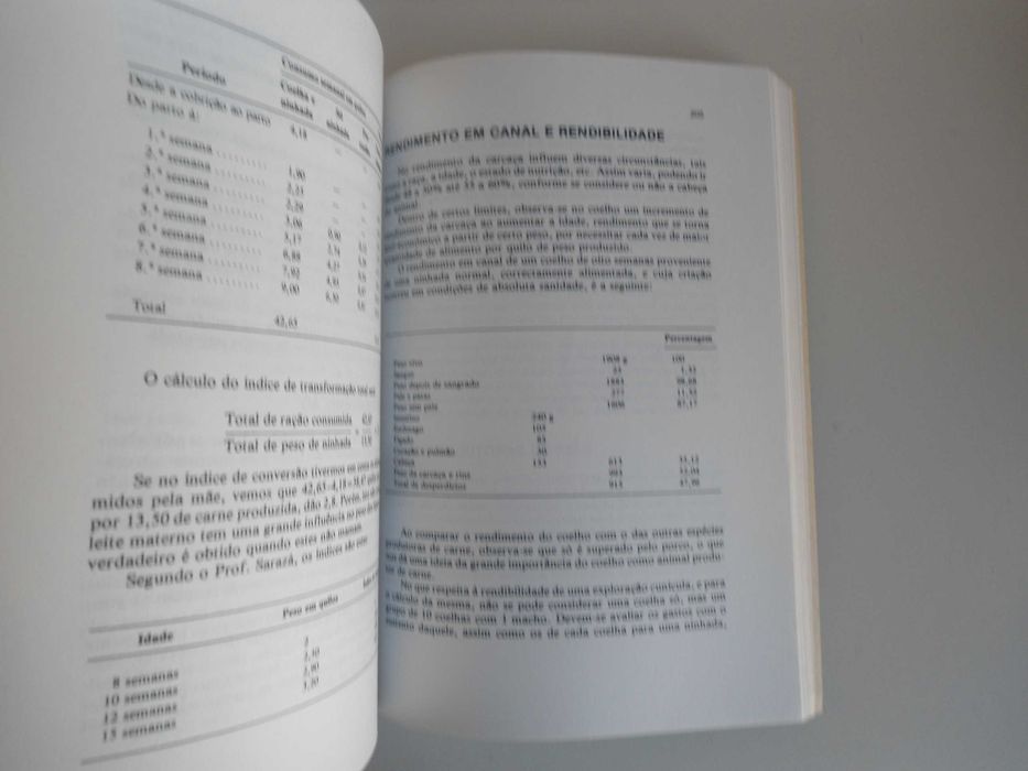 Coelhos-Alojamento e Maneio de J M Molinero Zapatero