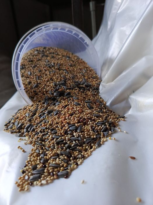 Насіння збалансоване в контейнері та на вагу