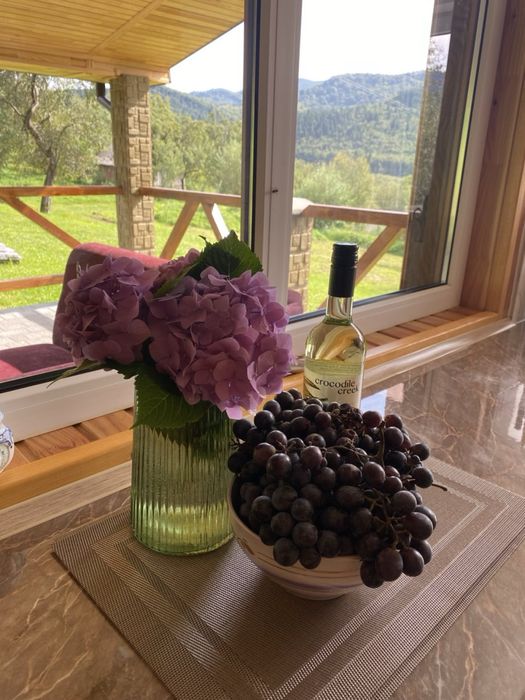 Східниця-Відпочинок в Карпатах. Оренда. Здам.Котедж з басейном.