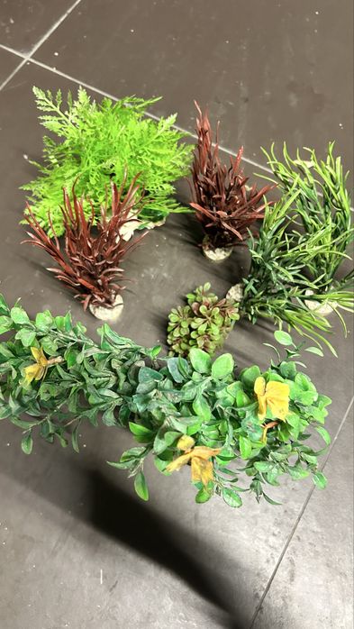 Plantas decoracao aquario (todas)