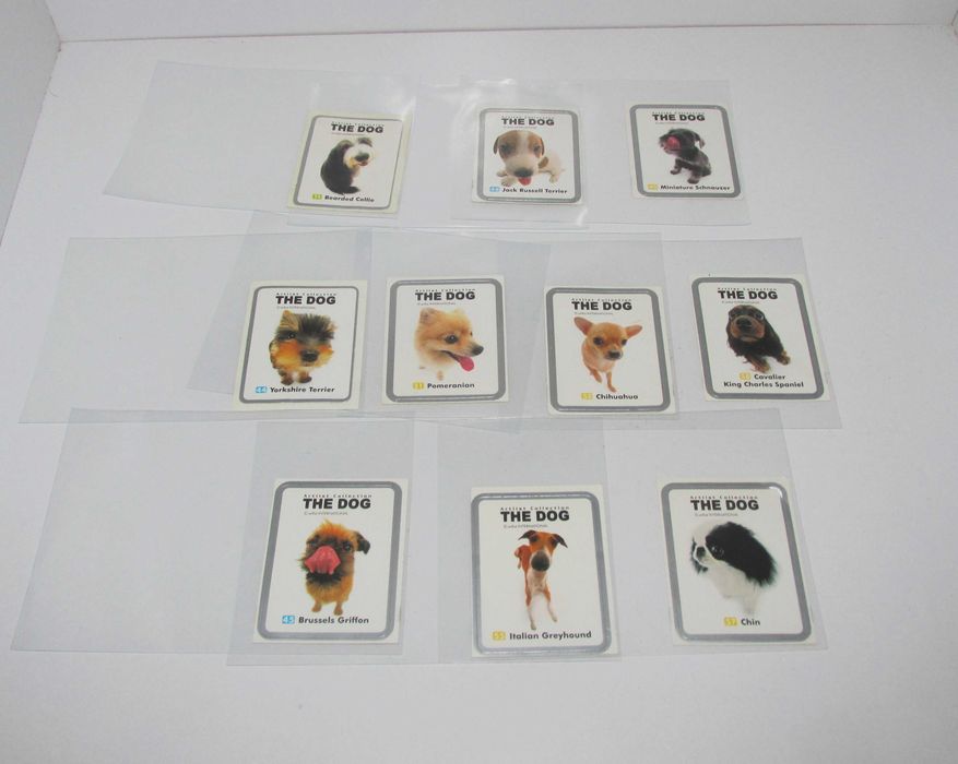 Chipicao/Matutano Artlist Collection The Dog (Pack A)