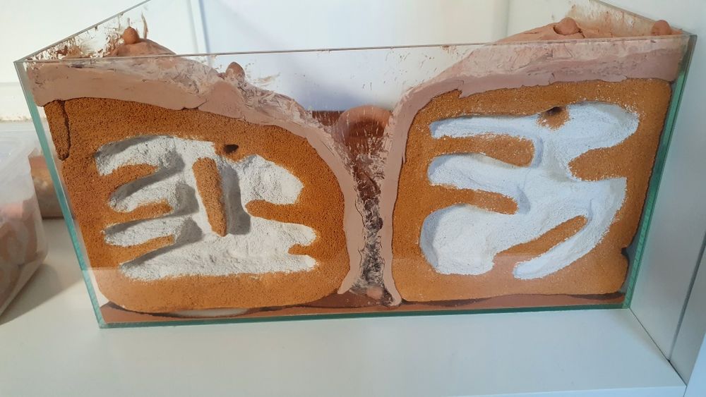 Terrarium dla mrówek z gipsu