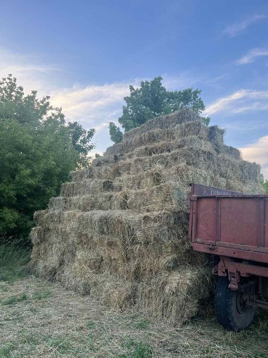 Продам ТЮКИ (Берегова трава)