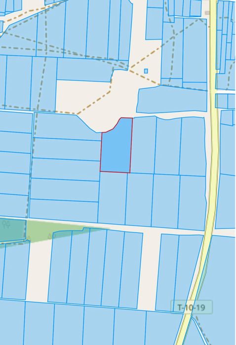 Земельна ділянка! Соснівка! Заліснена